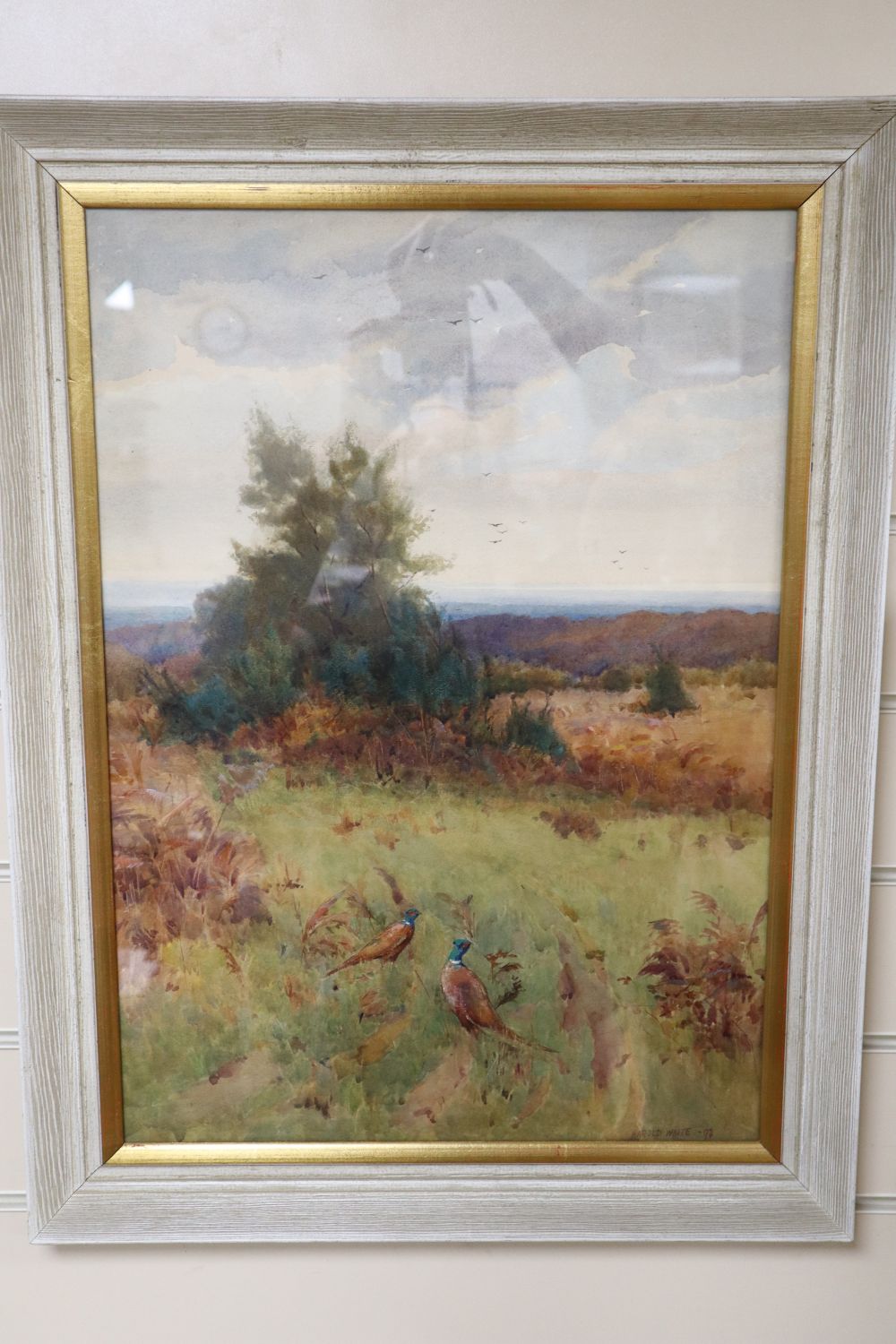 Harold Waite (fl.1892-1939), watercolour, Pheasant in a landscape, signed and dated 92, 52 x 37cm